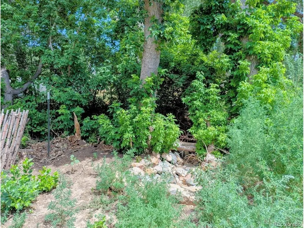 505 W 10th Street Walsenburg, CO 81089