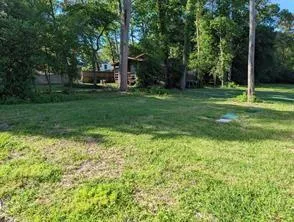 15504 Big Bow Bend Willis, TX 77378