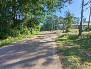 15504 Big Bow Bend Willis, TX 77378