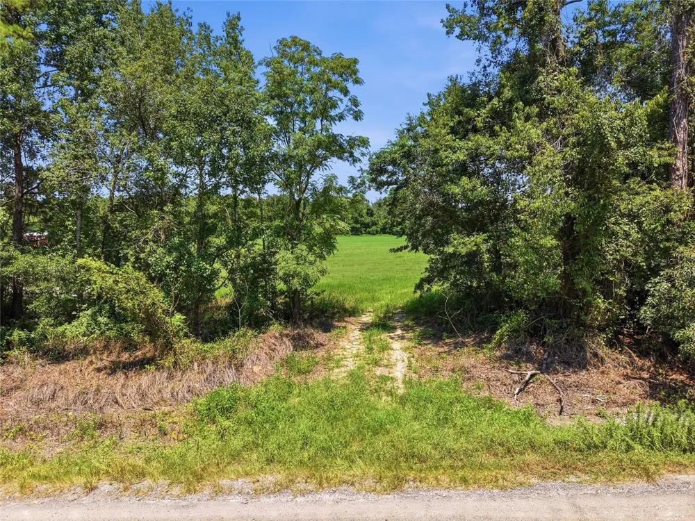 00 NW 278TH AVENUE Alachua, FL 32615