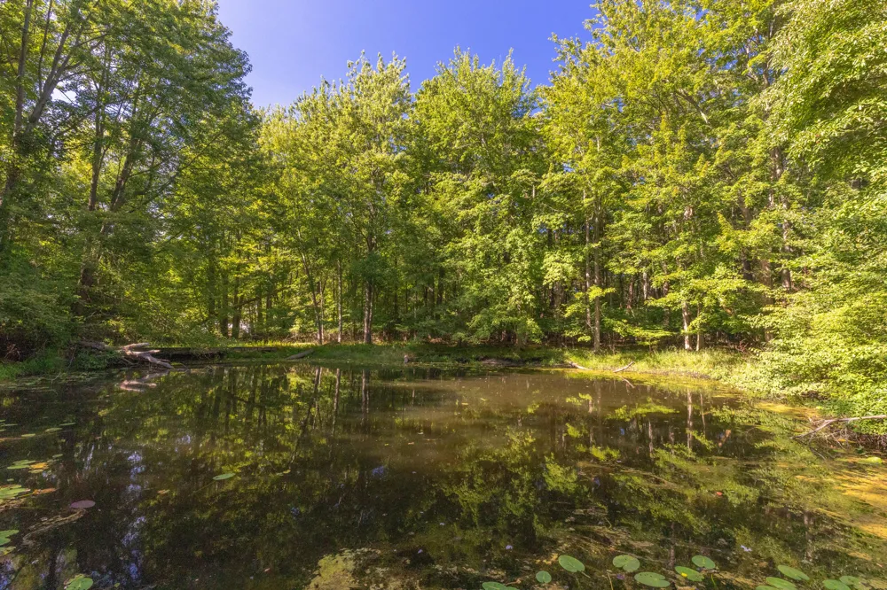 6985 124th Avenue #Parcel C Fennville, MI 49408