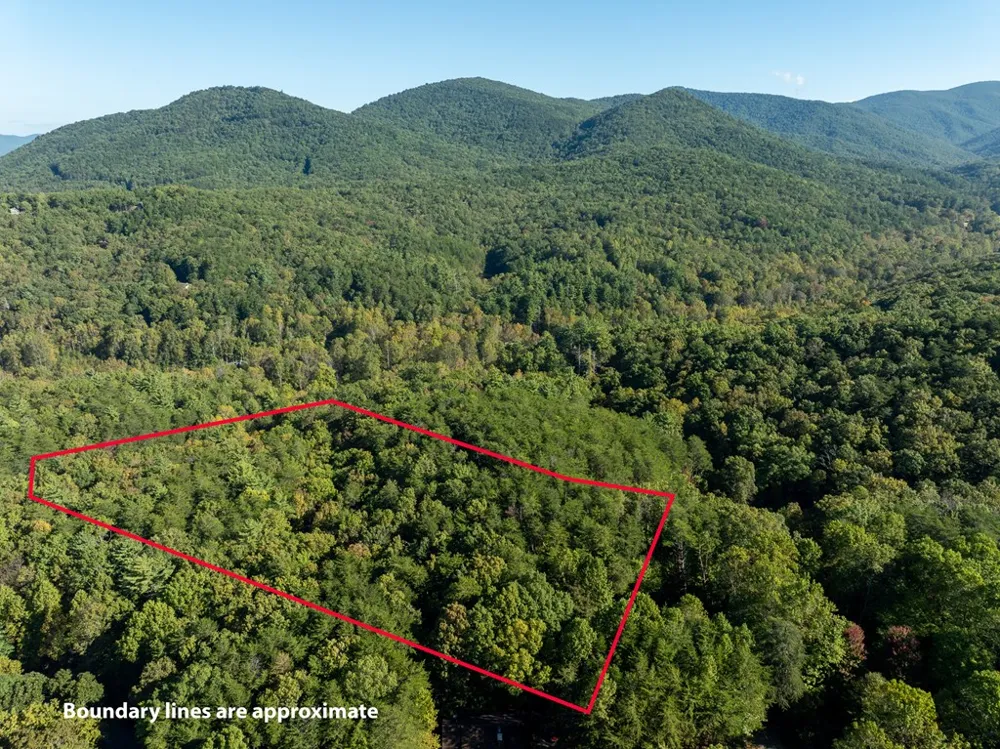 Tract 1 Turniptown Road Ellijay, GA 30536