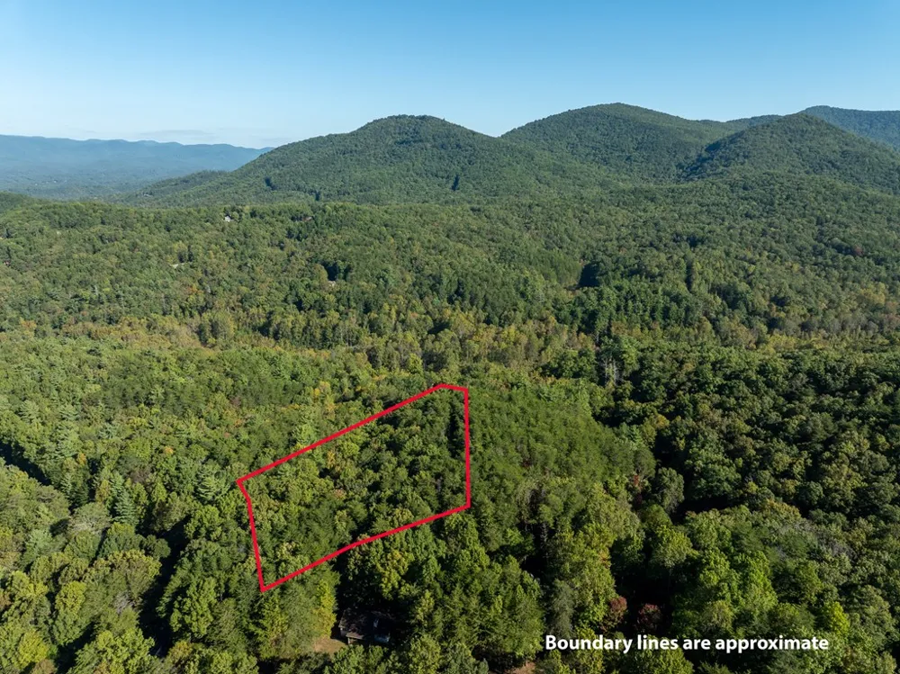 Tract 1 Turniptown Road Ellijay, GA 30536