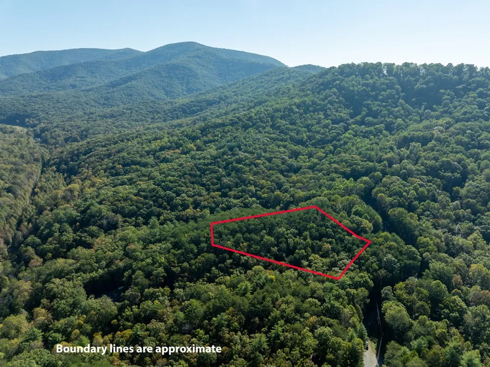 Tract 1 Turniptown Road Ellijay, GA 30536