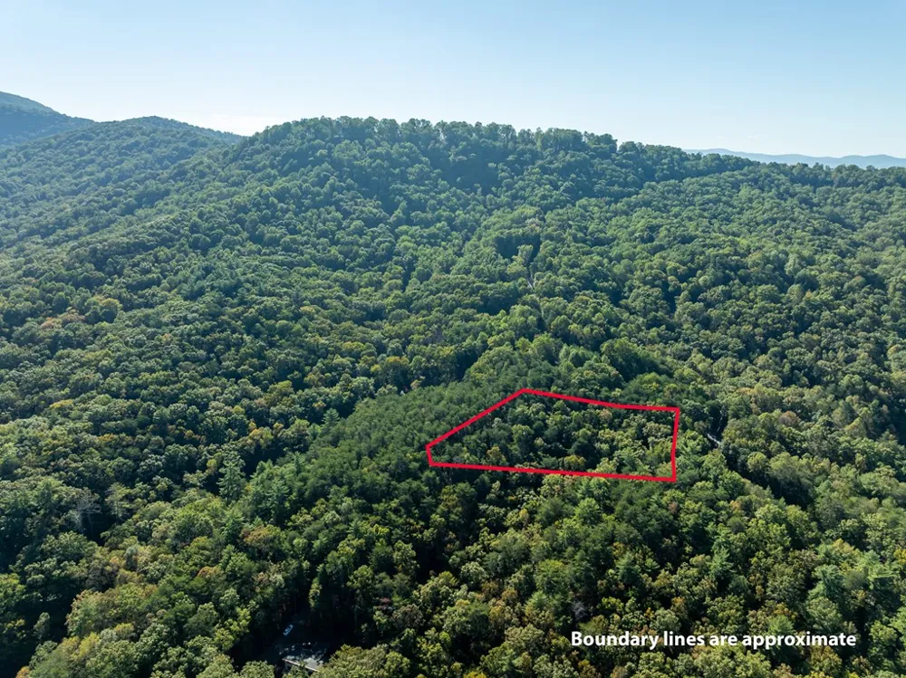 Tract 1 Turniptown Road Ellijay, GA 30536