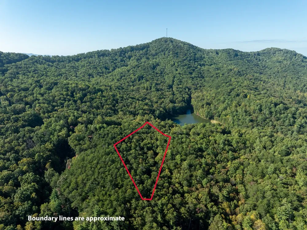 Tract 1 Turniptown Road Ellijay, GA 30536