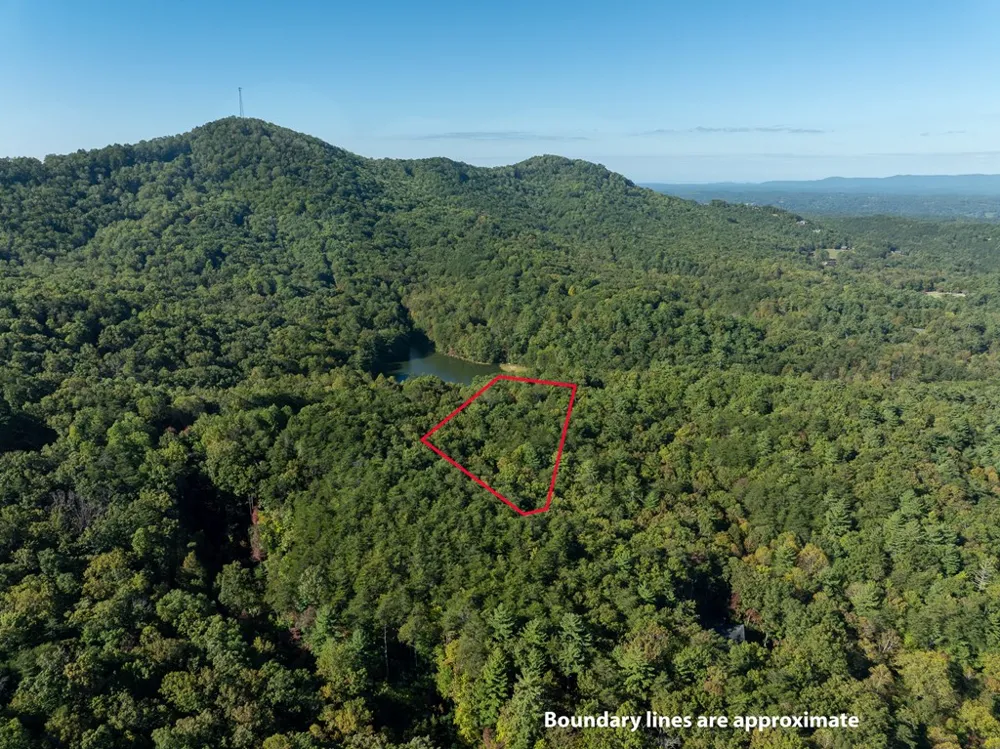 Tract 1 Turniptown Road Ellijay, GA 30536