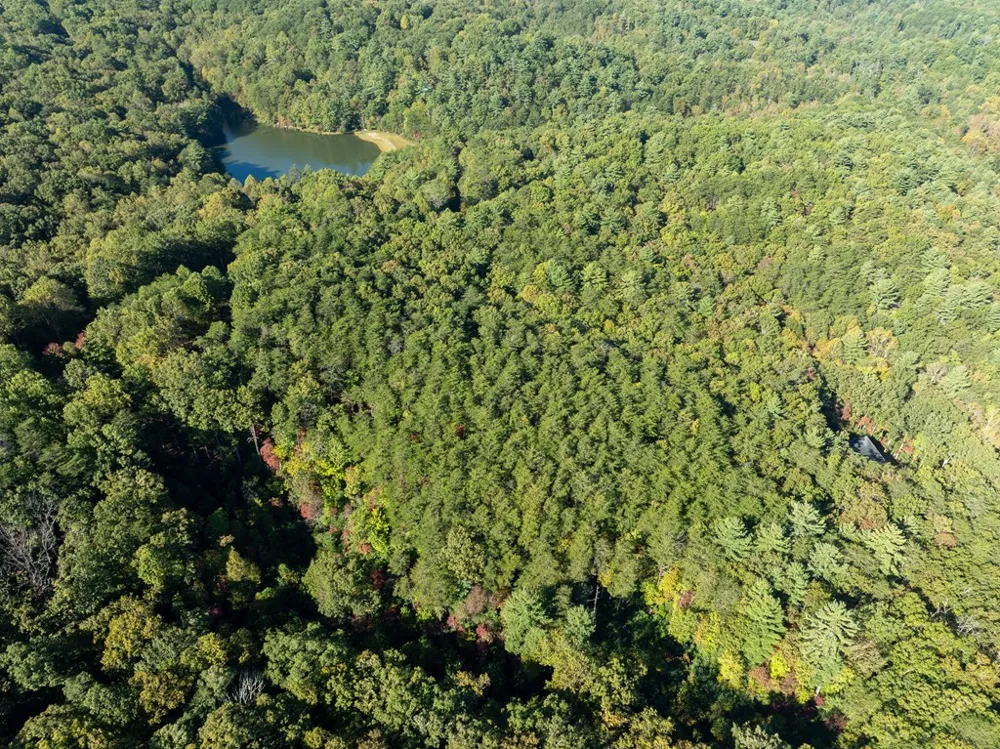 Tract 1 Turniptown Road Ellijay, GA 30536