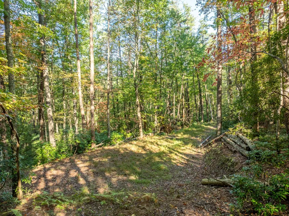 Tract 1 Turniptown Road Ellijay, GA 30536