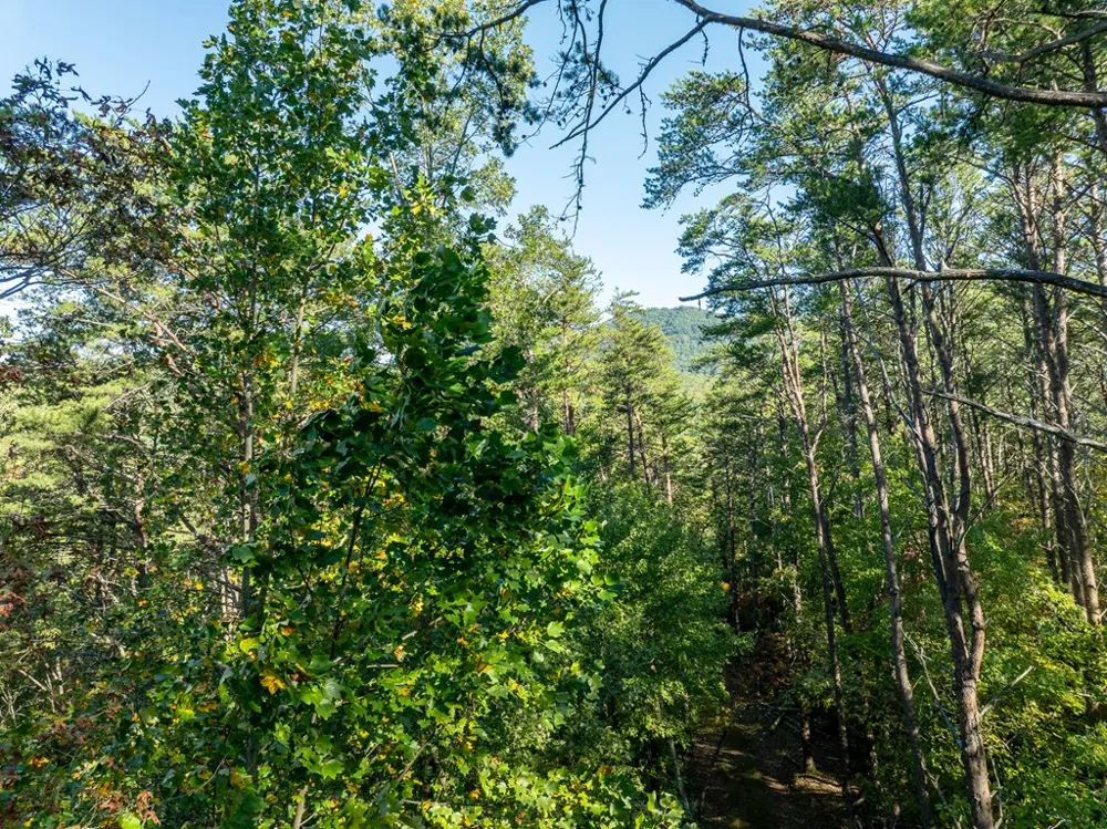 Tract 1 Turniptown Road Ellijay, GA 30536