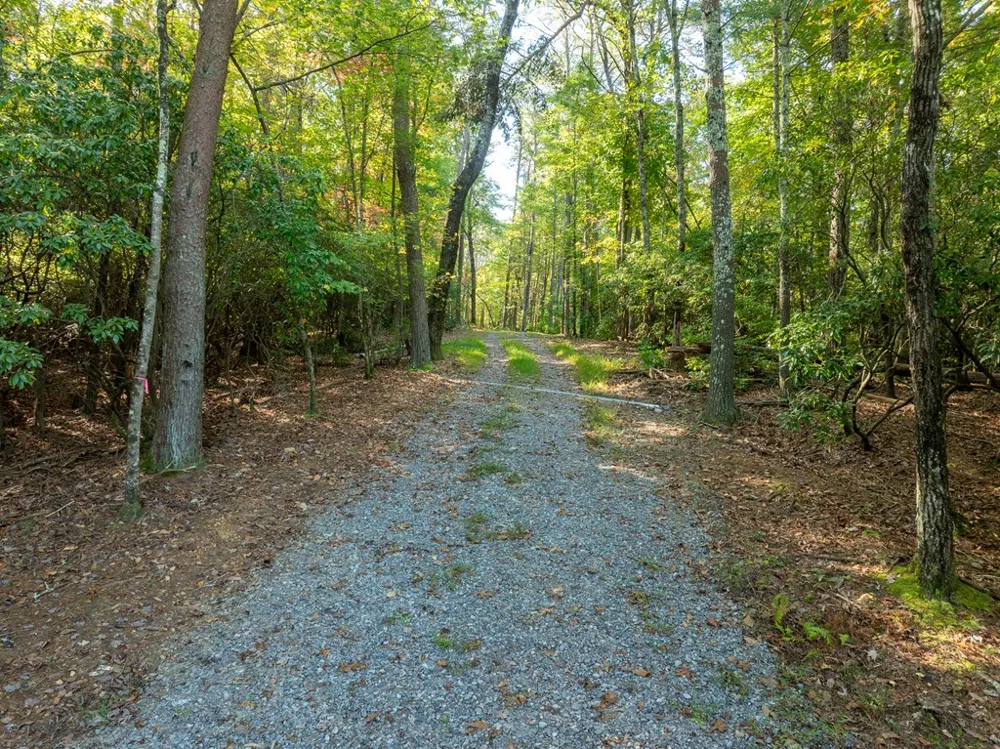 Tract 1 Turniptown Road Ellijay, GA 30536