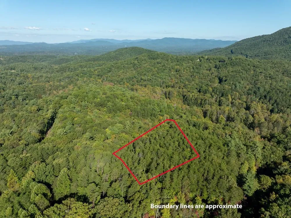 Tract 1 Turniptown Road Ellijay, GA 30536