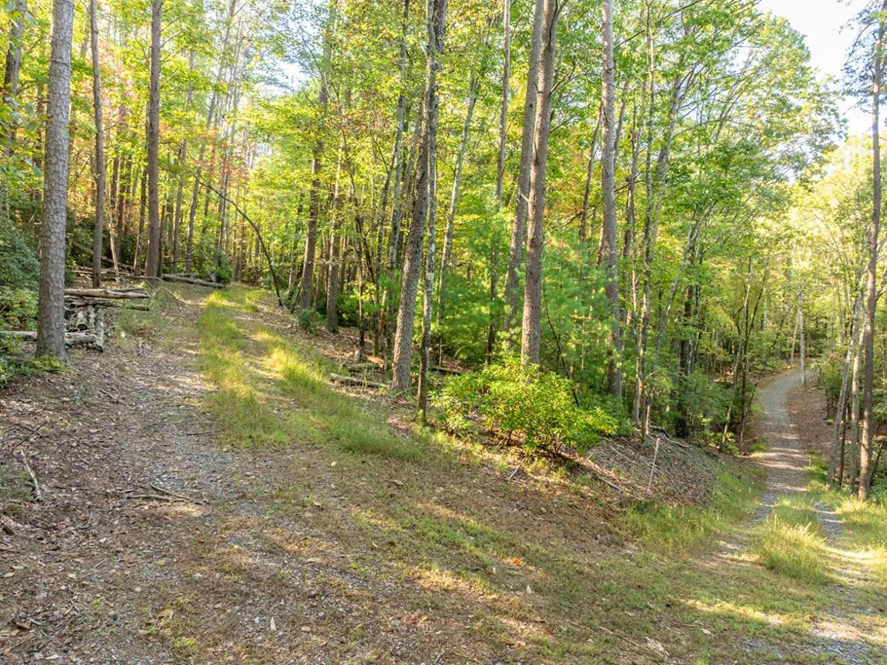 Tract 1 Turniptown Road Ellijay, GA 30536