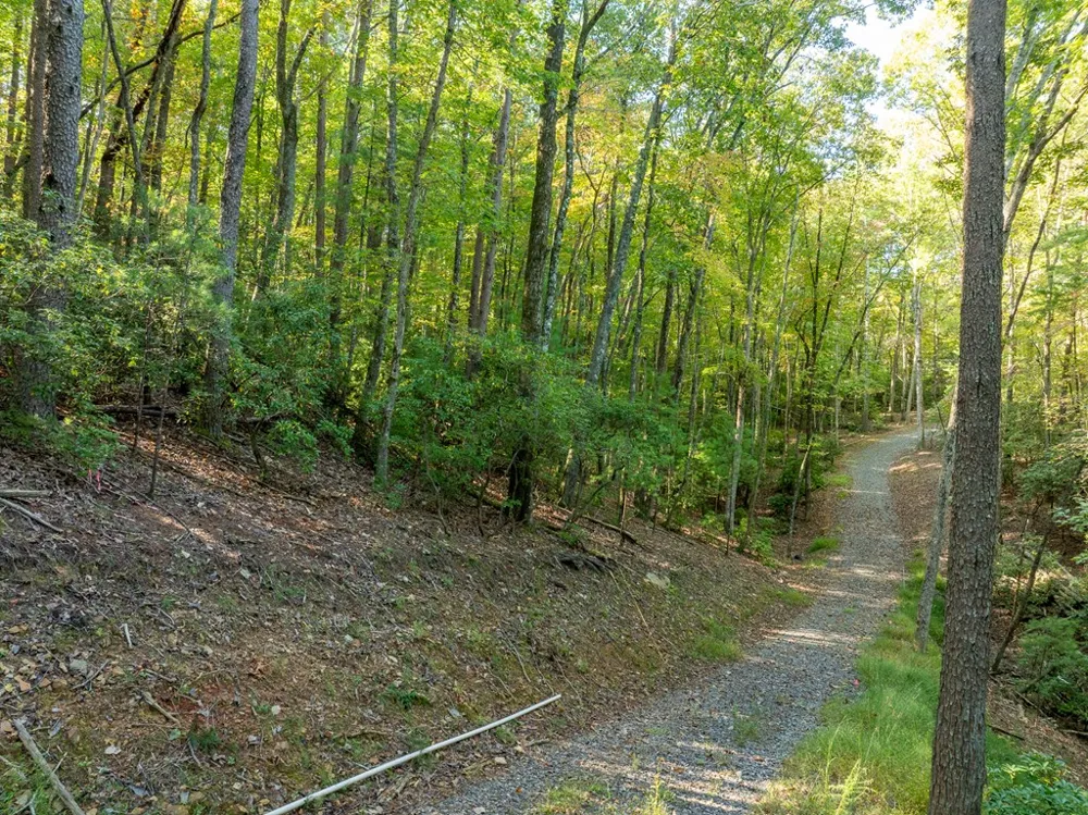 Tract 1 Turniptown Road Ellijay, GA 30536