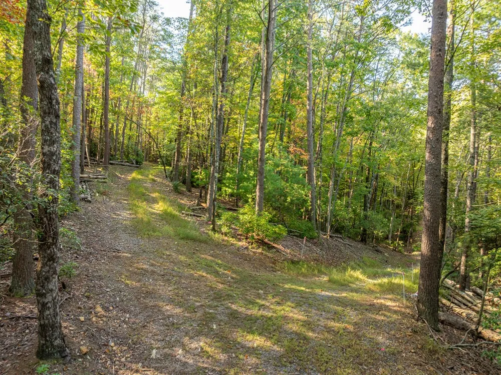 Tract 1 Turniptown Road Ellijay, GA 30536