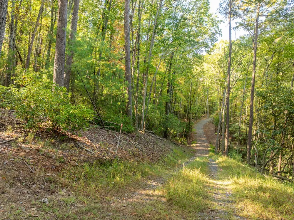 Tract 1 Turniptown Road Ellijay, GA 30536