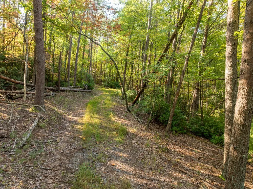 Tract 1 Turniptown Road Ellijay, GA 30536