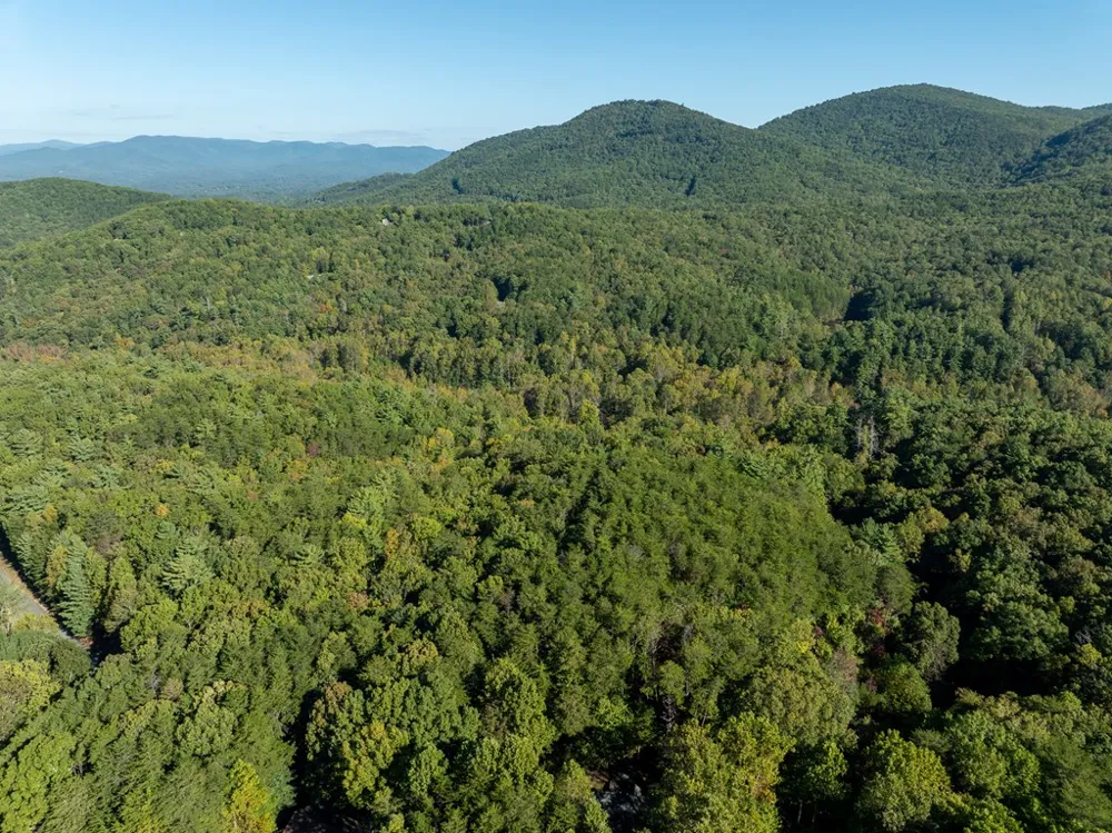 Tract 1 Turniptown Road Ellijay, GA 30536
