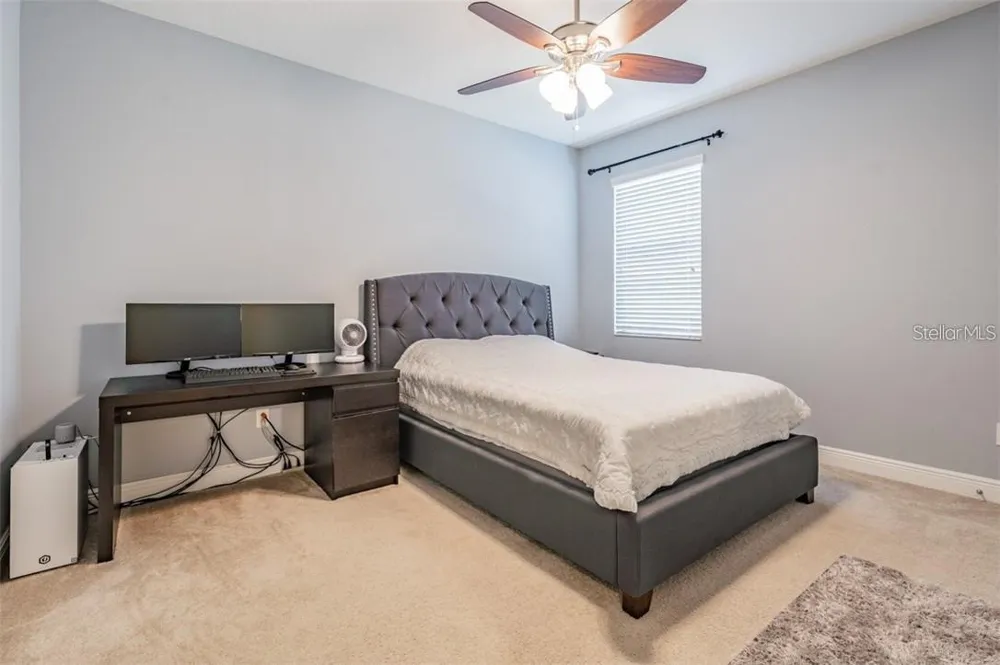 1907 TONKA TERRACE Wesley Chapel, FL 33543