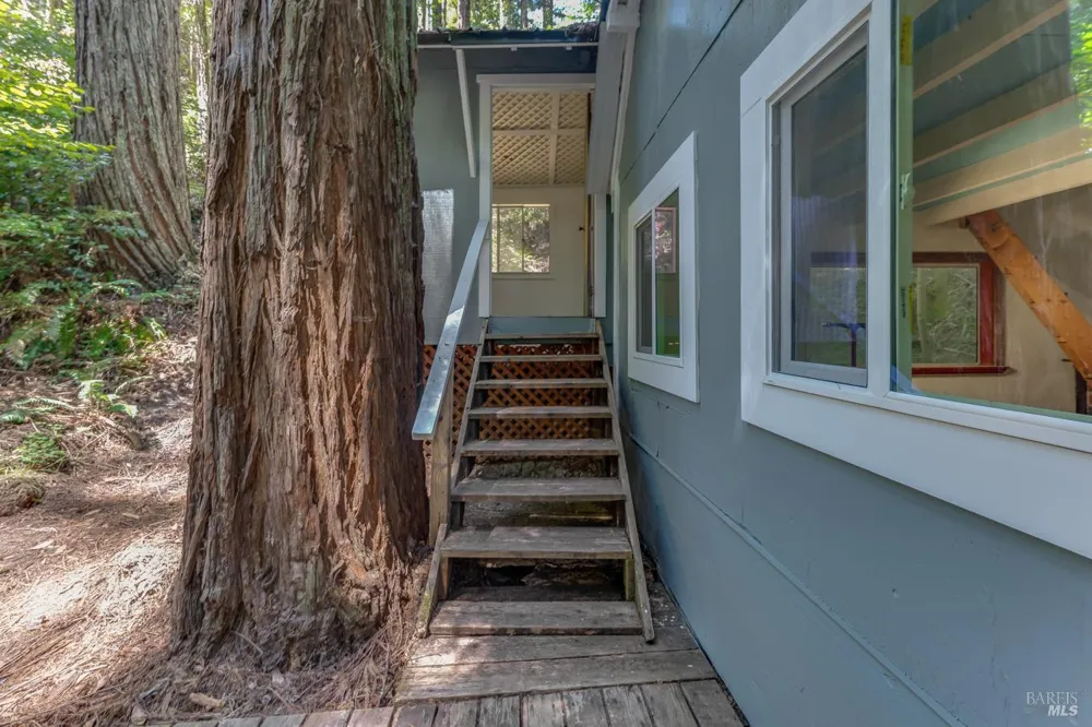 2728 Bohemian Highway Occidental, CA 95465