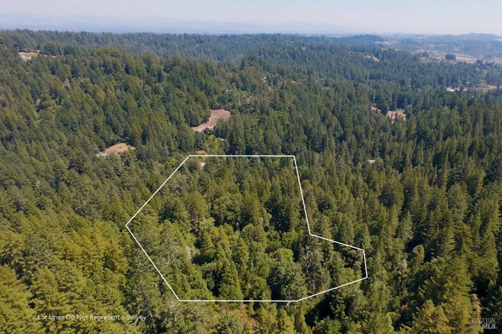 2728 Bohemian Highway Occidental, CA 95465