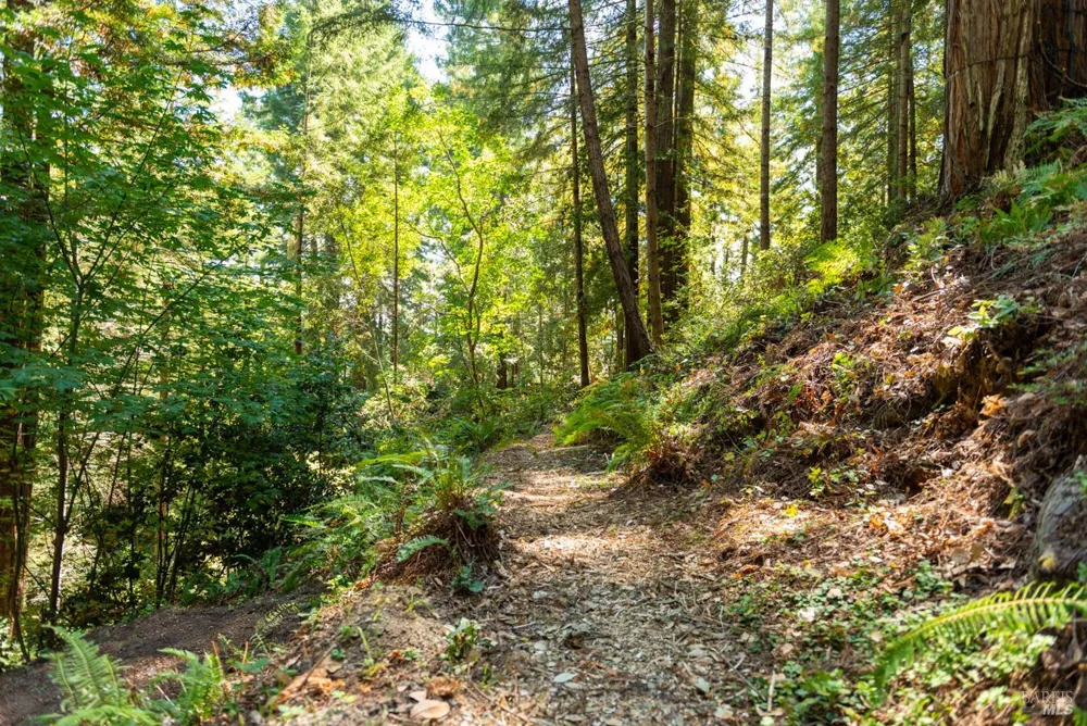 2728 Bohemian Highway Occidental, CA 95465