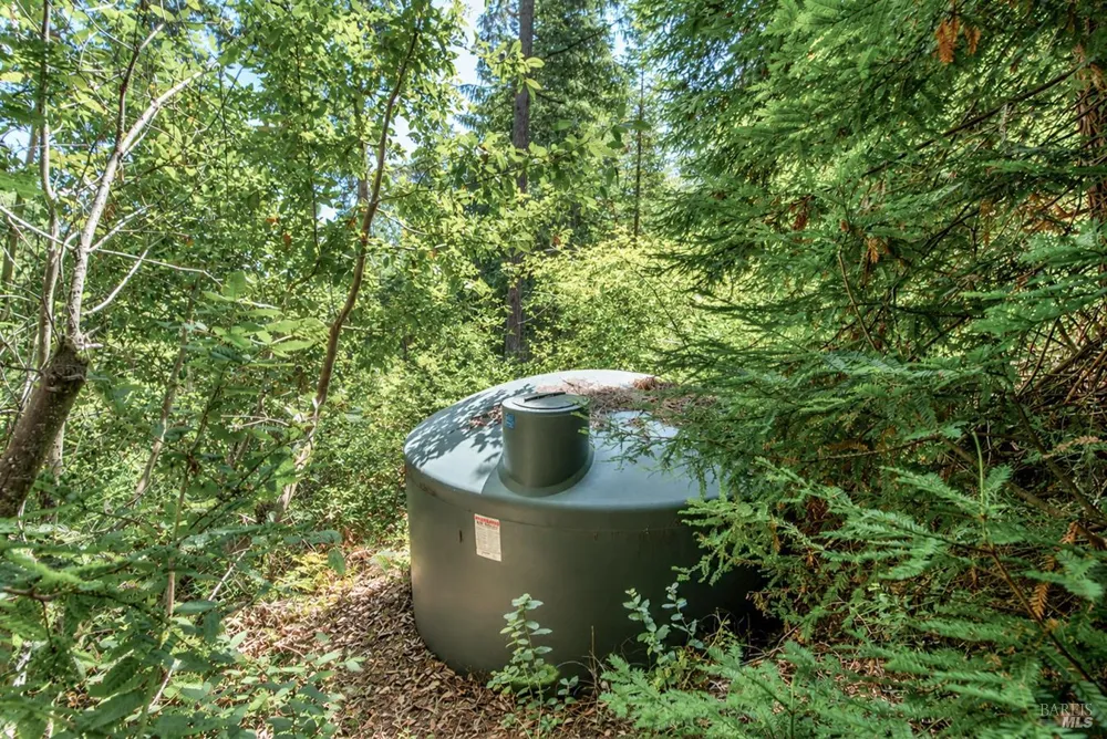 2728 Bohemian Highway Occidental, CA 95465