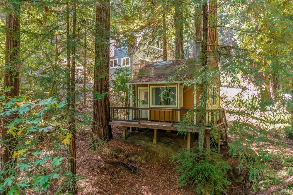 2728 Bohemian Highway Occidental, CA 95465