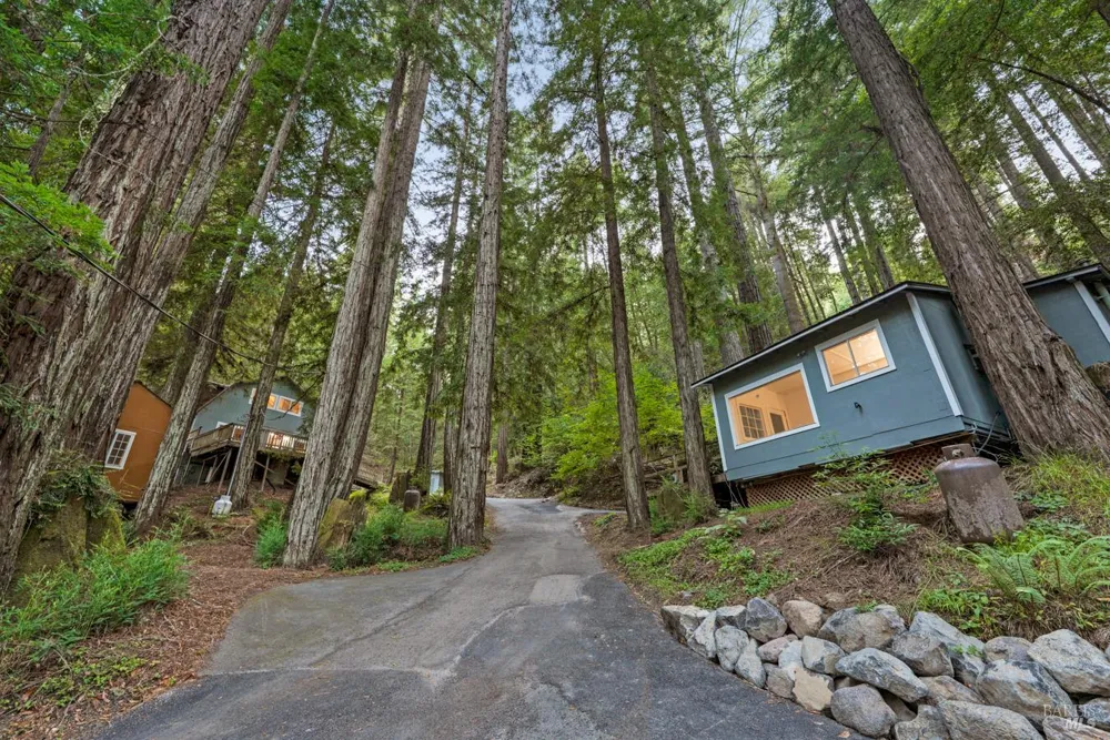 2728 Bohemian Highway Occidental, CA 95465