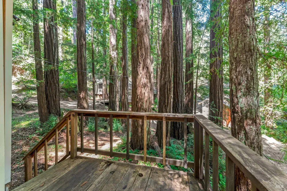 2728 Bohemian Highway Occidental, CA 95465