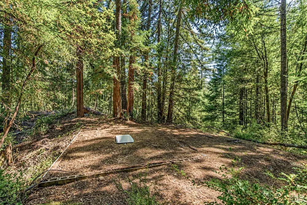 2728 Bohemian Highway Occidental, CA 95465