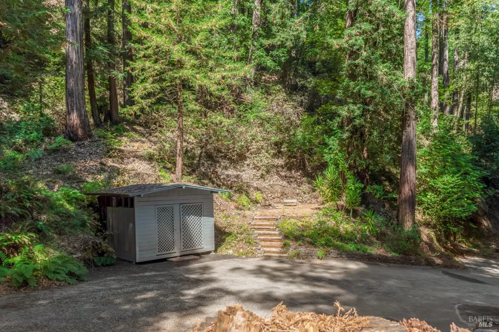 2728 Bohemian Highway Occidental, CA 95465