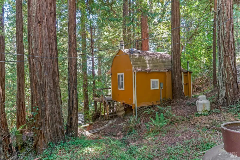 2728 Bohemian Highway Occidental, CA 95465