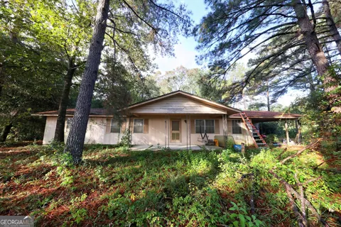 23481 N US Hwy 19 (7.46 Acres)