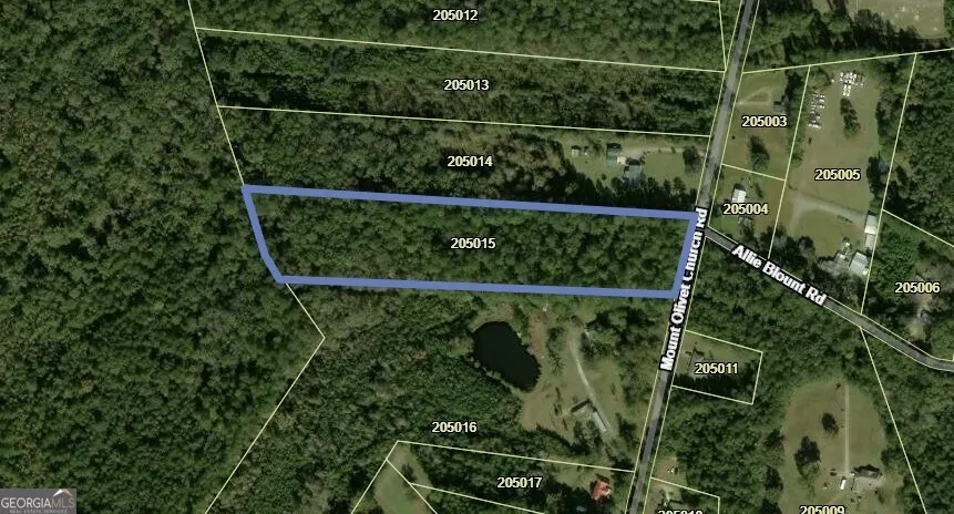 7.61 Mount Olivet Church RD Fleming, GA 31309