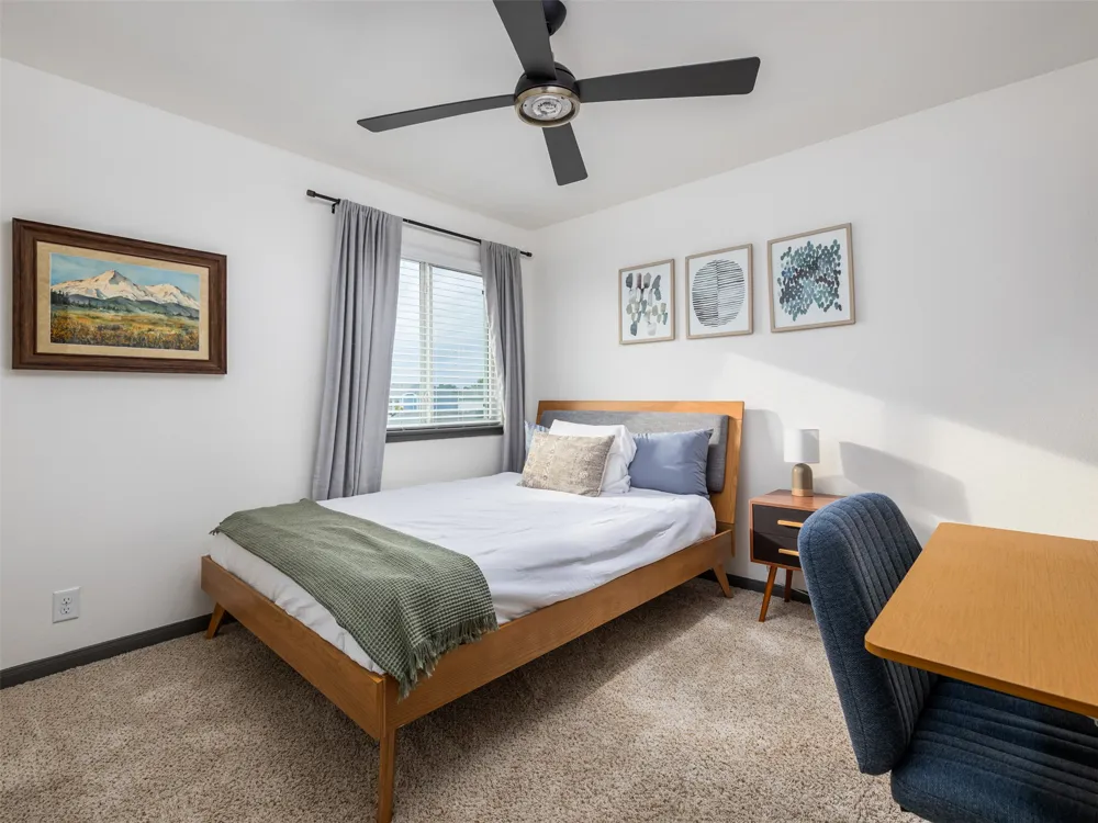 532 Lookout Tree Lane Round Rock, TX 78664