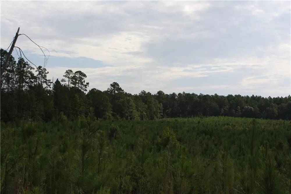 0 Balerma Church Road Sparta, GA 31087