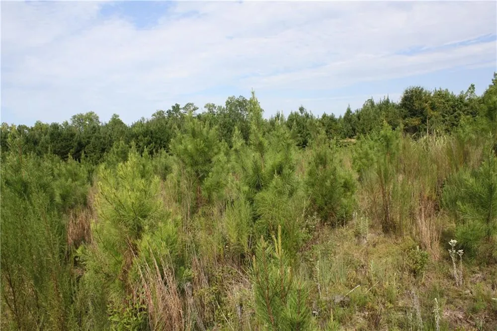 0 Balerma Church Road Sparta, GA 31087