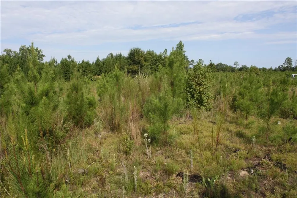 0 Balerma Church Road Sparta, GA 31087