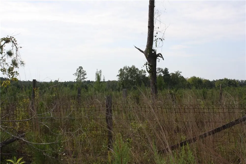 0 Balerma Church Road Sparta, GA 31087