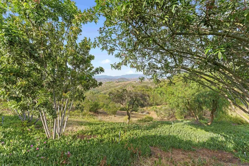 30659 Diaz Valley Center, CA 92082