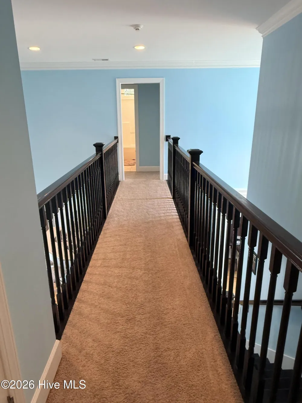 173 Buck Branch Drive Warsaw, NC 28398