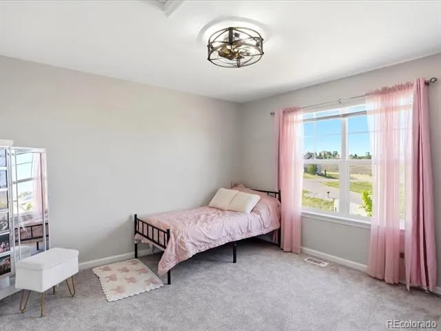9802 E 146th Avenue Brighton, CO 80602