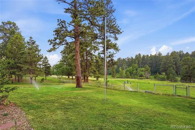 10462 Tomichi Drive Franktown, CO 80116