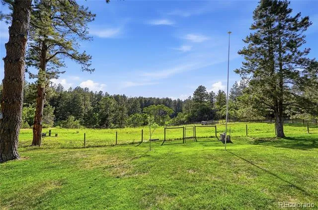10462 Tomichi Drive Franktown, CO 80116