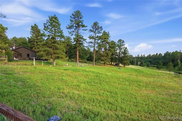 10462 Tomichi Drive Franktown, CO 80116