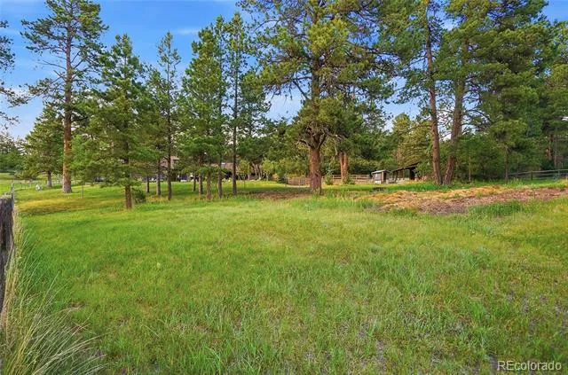 10462 Tomichi Drive Franktown, CO 80116