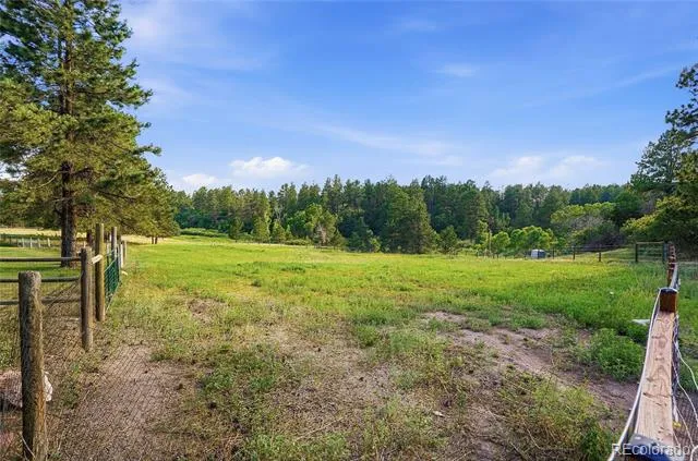 10462 Tomichi Drive Franktown, CO 80116