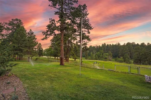 10462 Tomichi Drive Franktown, CO 80116