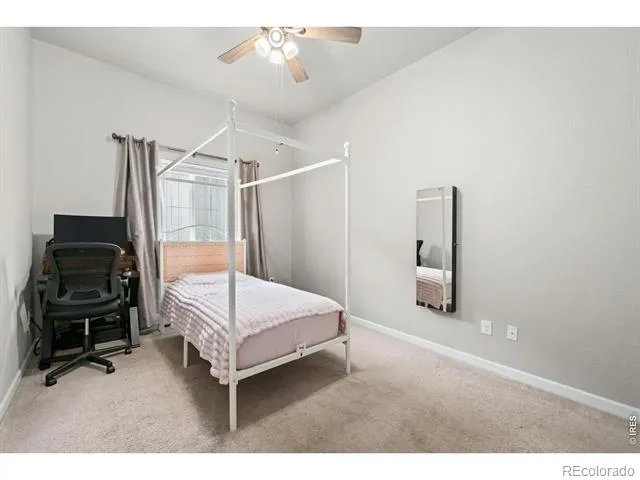 552 Newton Drive Loveland, CO 80537